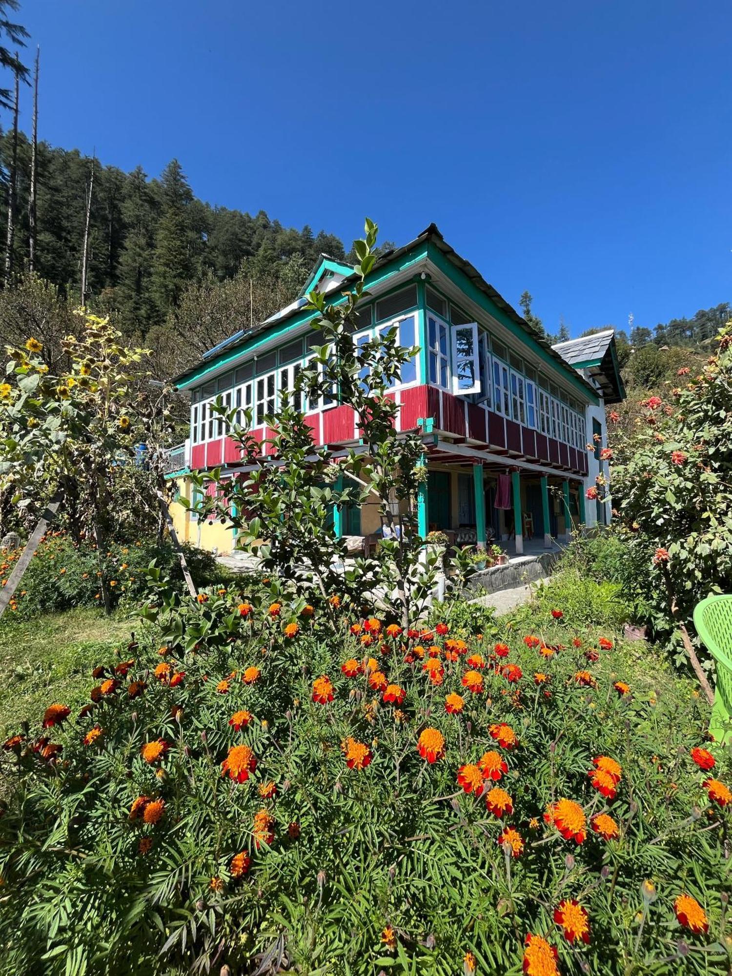 Mountain Eyrie Hotel Banjār Buitenkant foto